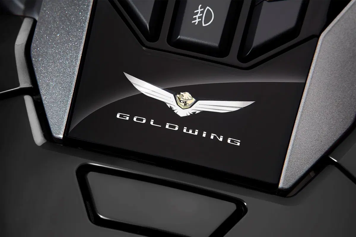 Honda GL 1800 GL 1800 Gold Wing Tour DCT (2021) (19)