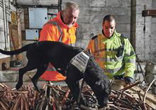 Cani poliziotti sulle tracce dei ladri di moto