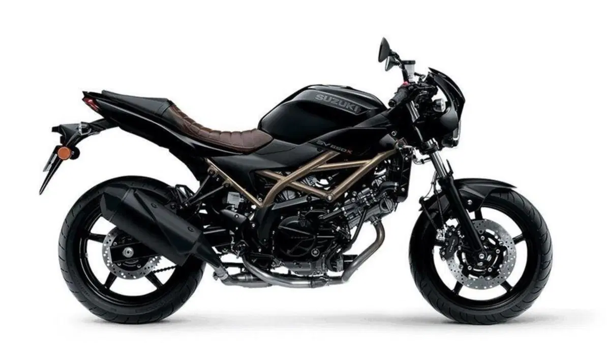 Suzuki SV 650 e SV 650X 2021. In Giappone e presto in Italia (2)