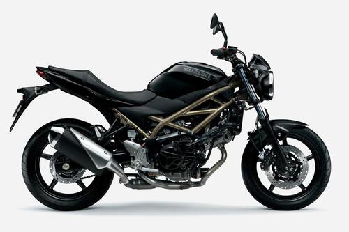 Suzuki SV 650 e SV 650X 2021. In Giappone e presto in Italia (6)