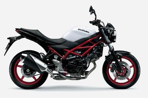 Suzuki SV 650 e SV 650X 2021. In Giappone e presto in Italia (2)