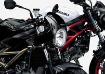 Suzuki SV 650 e SV 650X 2021. In Giappone e presto in Italia