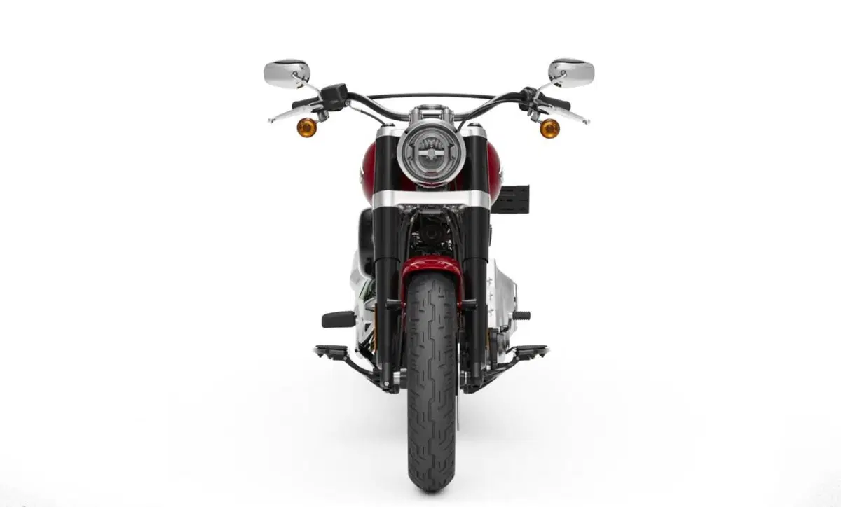 Harley-Davidson Softail 107 Slim (2021) - FLSL (3)