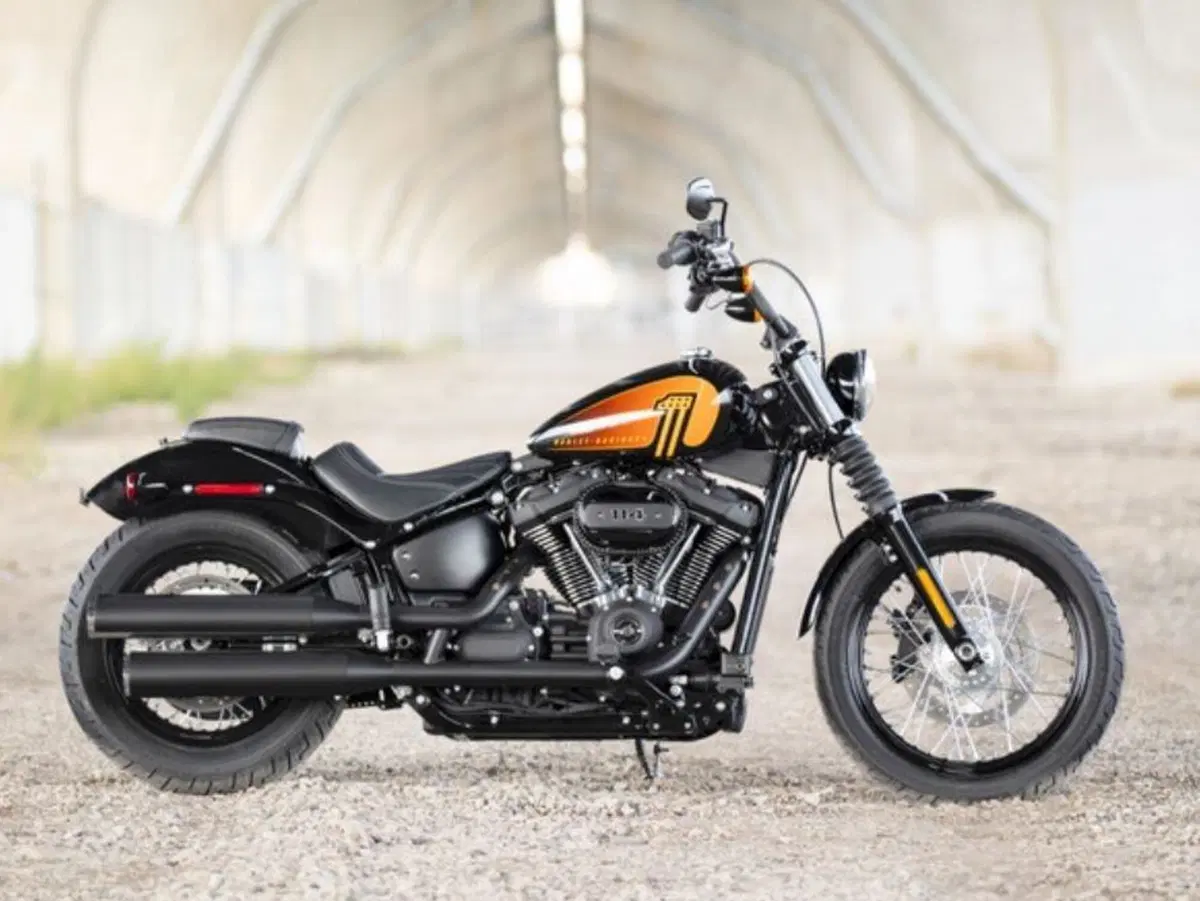 Nuove Harley-Davidson Street Bob 114 e Fat Boy 114 (2)