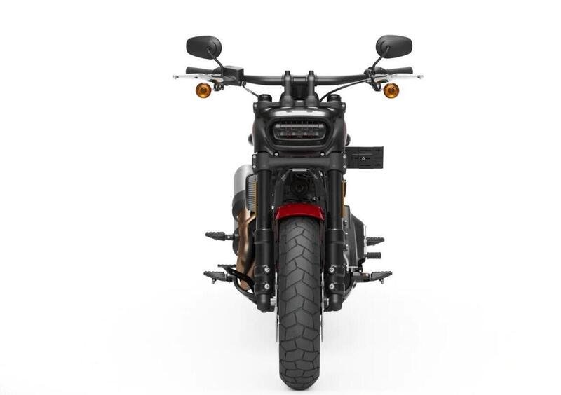 Harley-Davidson Softail Fat Bob 114 (2021 - 24) (3)