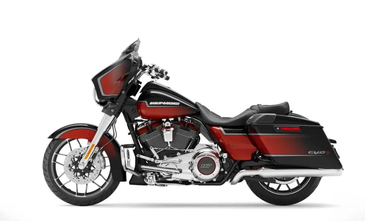 Harley-Davidson CVO - Custom Vehicle Operations 117 Street Glide (2021) - FLHXSE (6)
