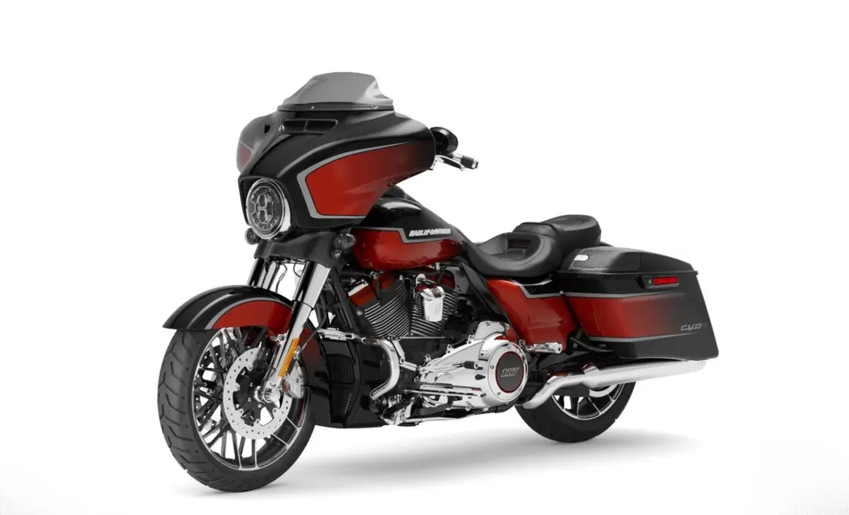 Harley-Davidson CVO - Custom Vehicle Operations 117 Street Glide (2021) - FLHXSE (8)