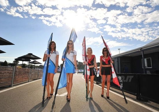 Le ragazze più belle del GP di Phillip Island