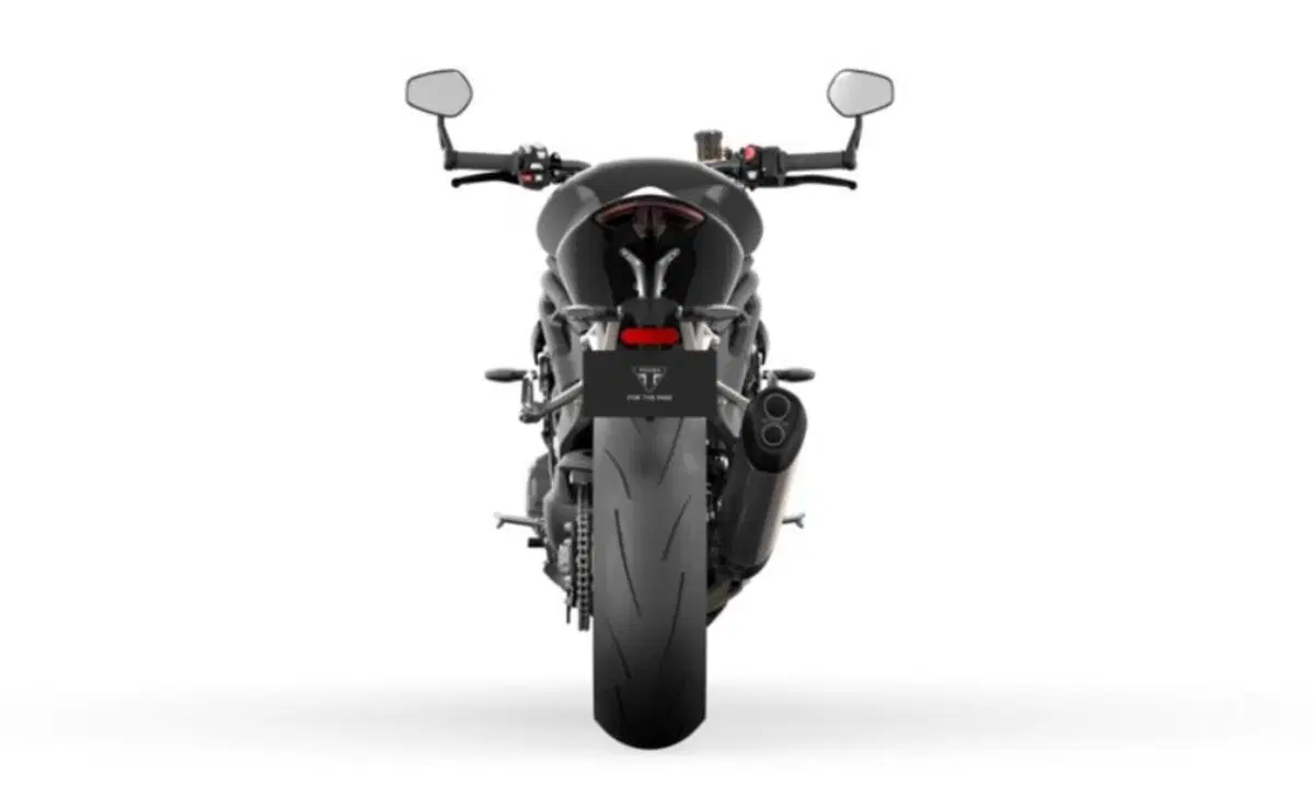 Triumph Speed Triple 1200 Speed Triple 1200 RS (2021 - 24) (15)