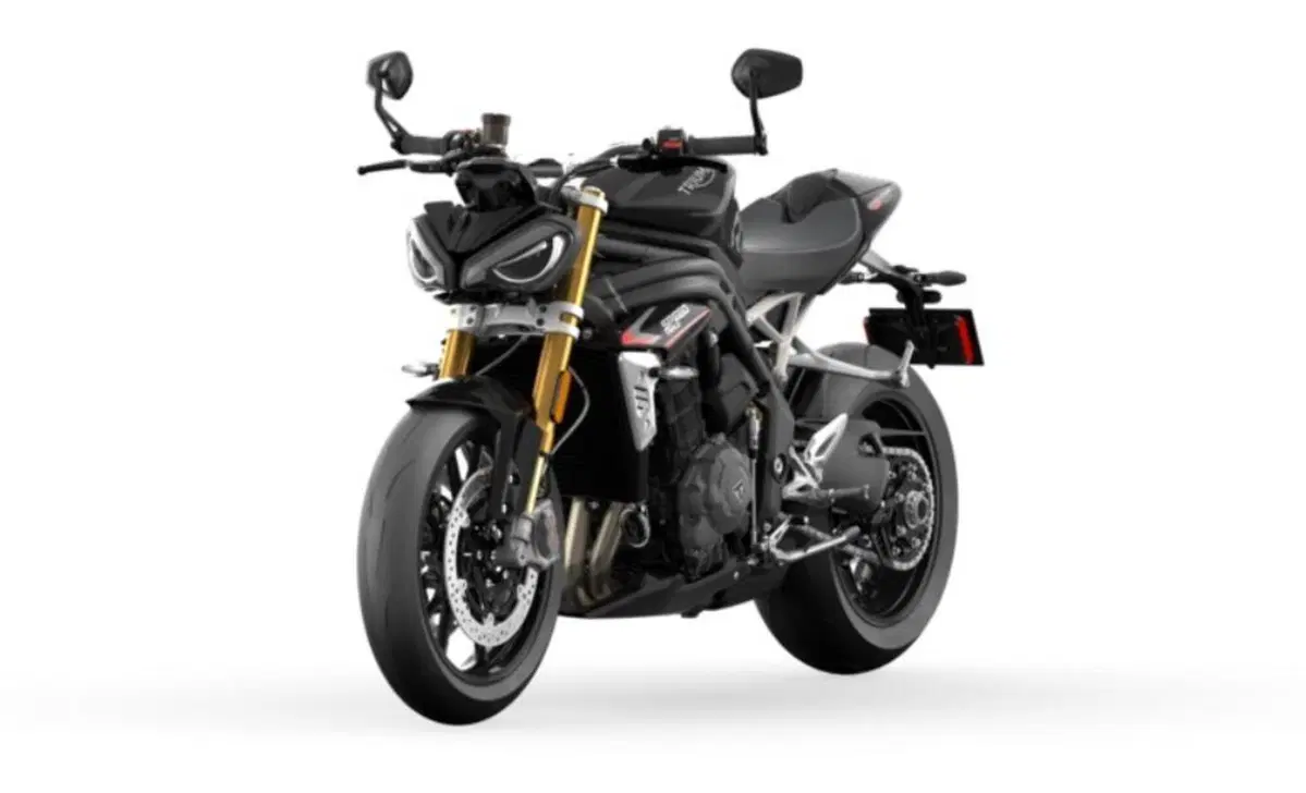 Triumph Speed Triple 1200 Speed Triple 1200 RS (2021 - 24) (13)