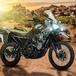 Nuova Kawasaki KLR 650 Adventure 2021. Per gli USA