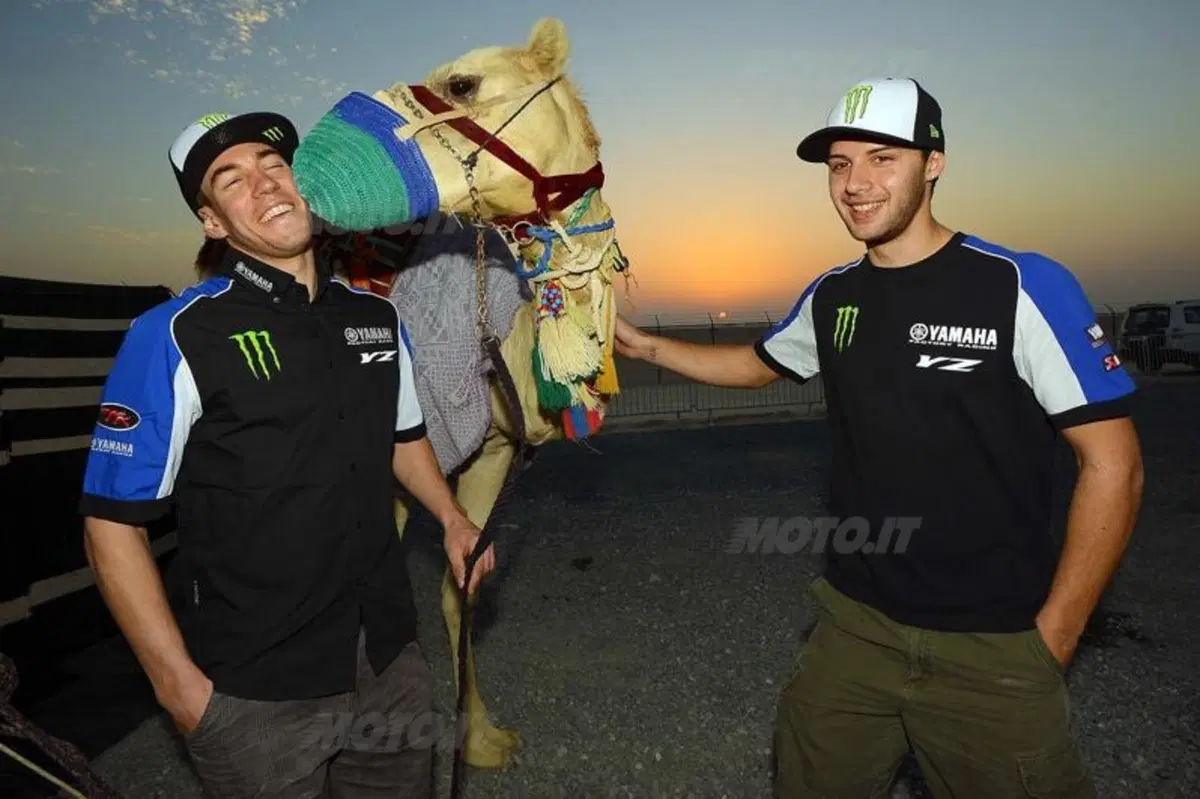 Motocross. Le foto più spettacolari del GP del Qatar (28)