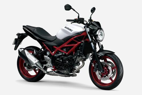 Suzuki SV 650 m.y. 2021. Arriva in Italia, colori e prezzo (2)