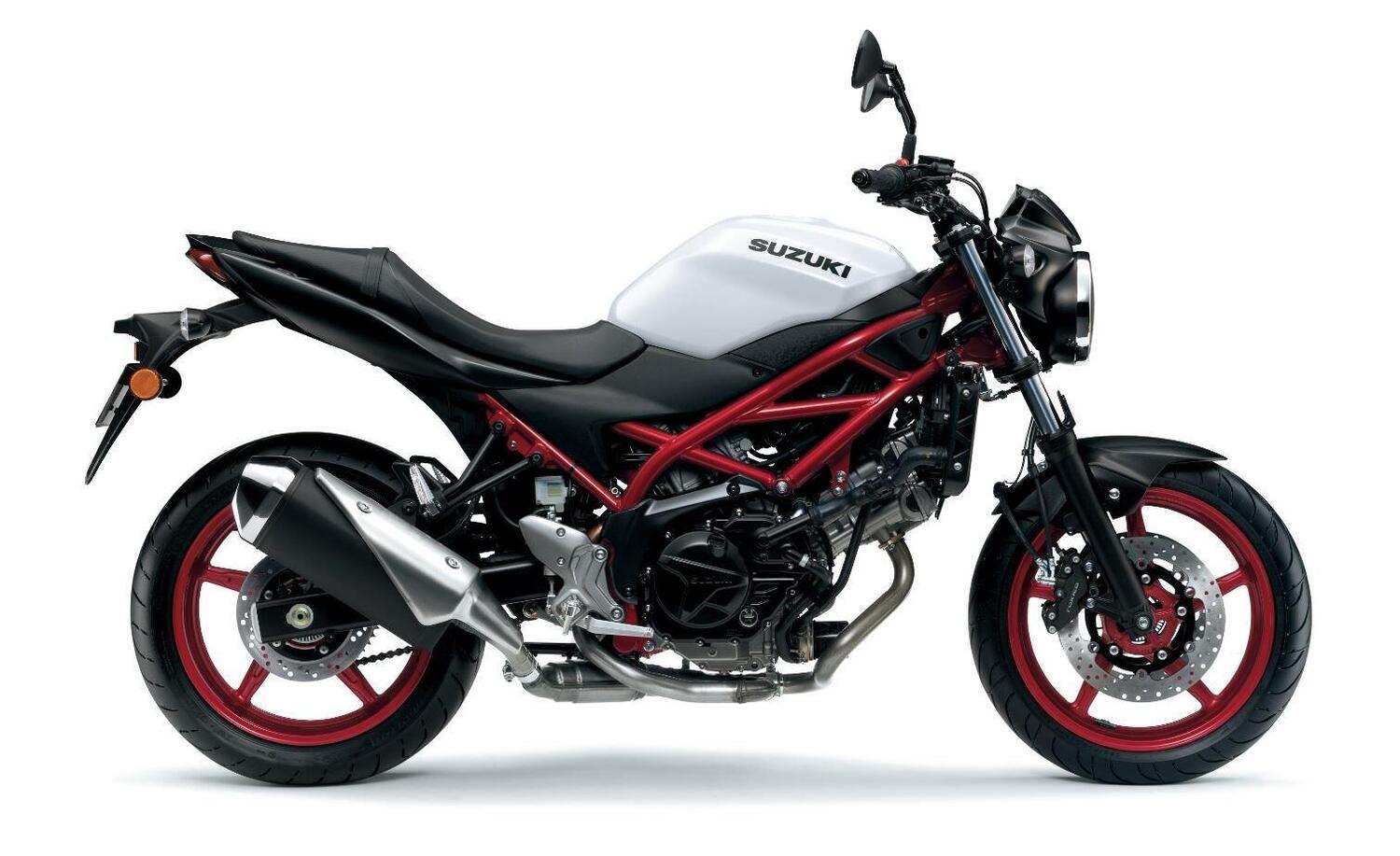 Suzuki SV 650 m.y. 2021. Arriva in Italia, colori e prezzo