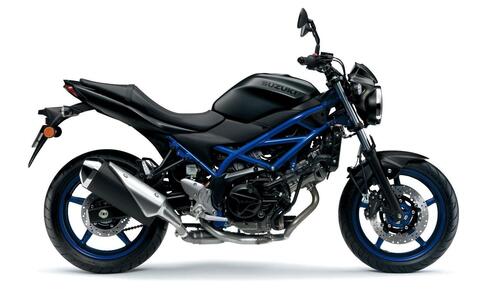 Suzuki SV 650 m.y. 2021. Arriva in Italia, colori e prezzo (3)