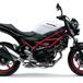 Suzuki SV 650 m.y. 2021. Arriva in Italia, colori e prezzo