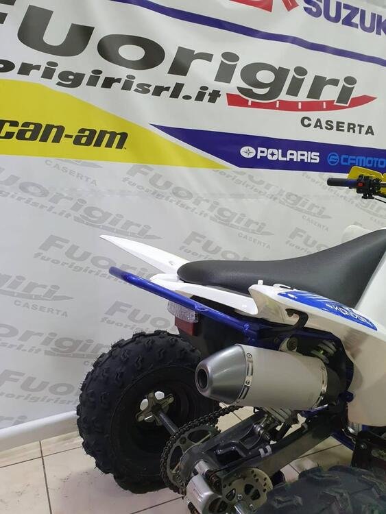 Lem Motor Dirt Bike 250 Pro (2020) (3)