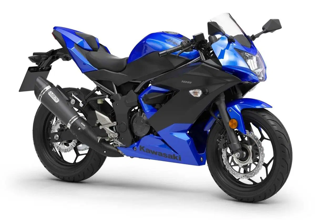 Kawasaki Ninja 125 Ninja 125 Performance (2021 - 24) (3)