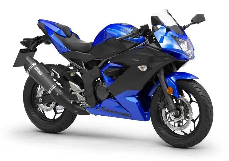 Kawasaki Ninja 125 Ninja 125 Performance (2021 - 24) (3)