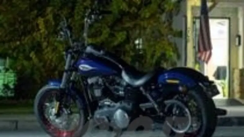 Due novit&agrave; Harley-Davidson 2013: Softail Breakout e Street Bob SE