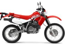 Honda XR650L 2021 anche in Italia? La risposta di RedMoto