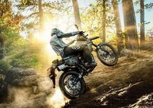 Negli USA, grazie all'off-road, le moto crescono nell'anno peggiore