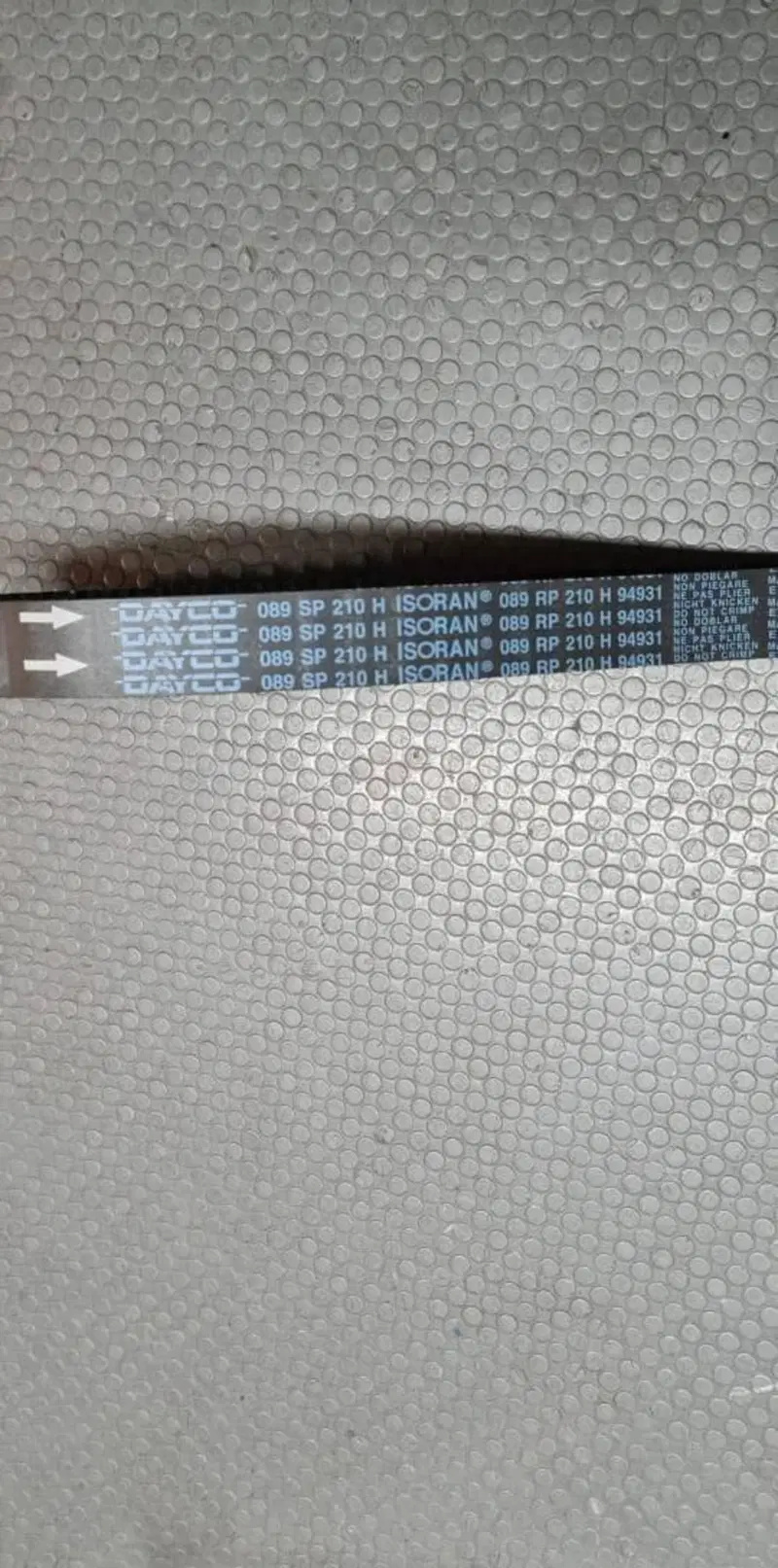 CINGHIA DISTRIBUZIONE DAYCO DUCATI 996 R 2001 Rms (2)