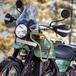 Royal Enfield Himalayan 2021. Ecco come cambia