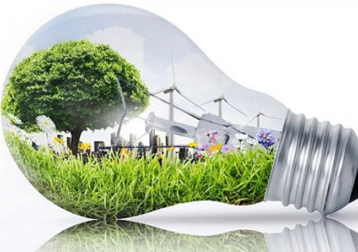 Ministero per la transizione ecologica. Cos'&egrave; e cosa fa?