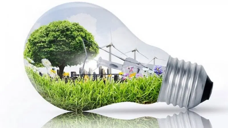 Ministero per la transizione ecologica. Cos'&egrave; e cosa fa?