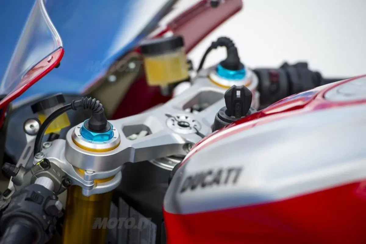 Ducati 1199 Panigale R  (26)