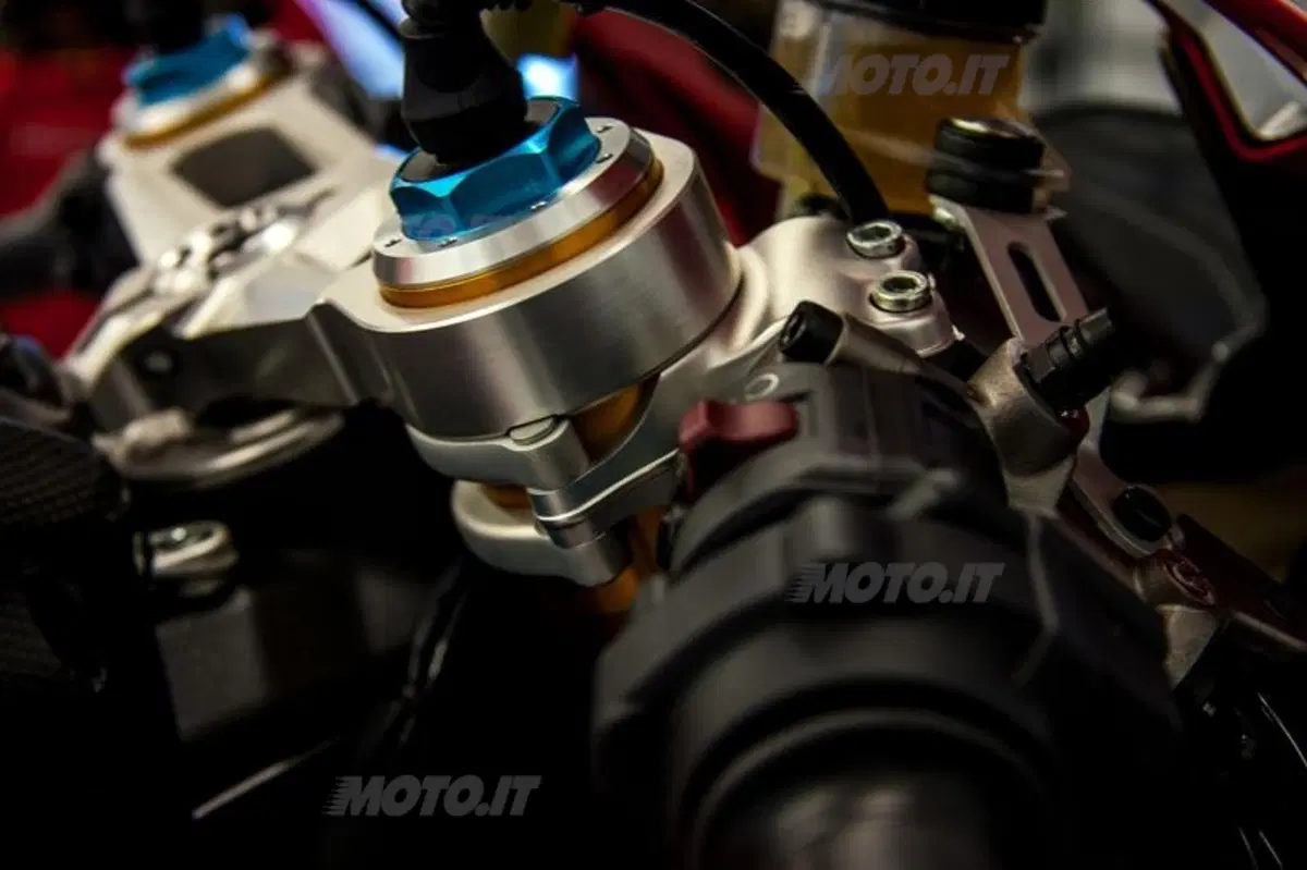 Ducati 1199 Panigale R  (35)