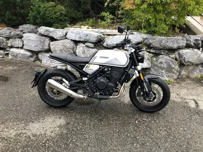 Brixton Motorcycles Crossfire 500 X (2021 - 26) usata