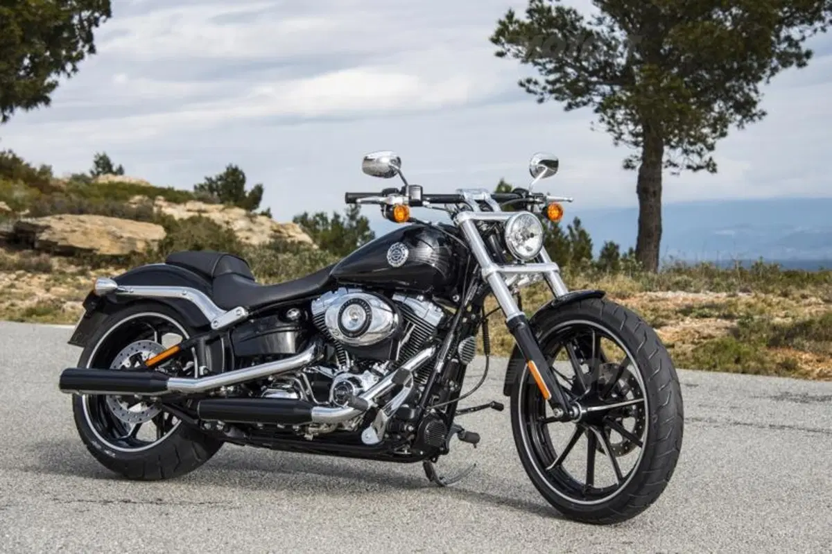 Harley-Davidson Softail Breakout  (15)