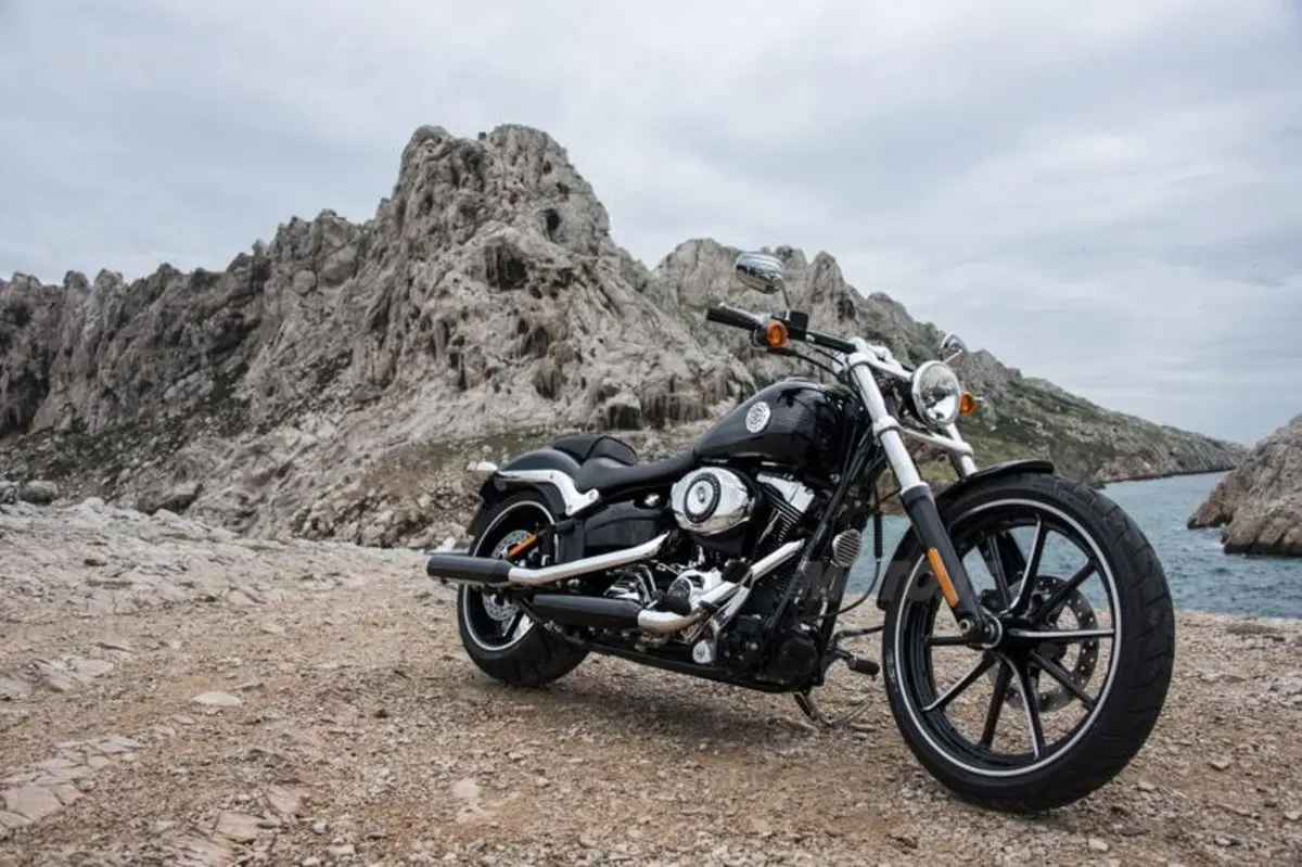 Harley-Davidson Softail Breakout  (20)