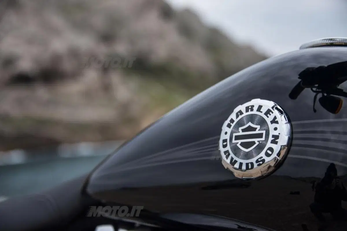 Harley-Davidson Softail Breakout  (34)