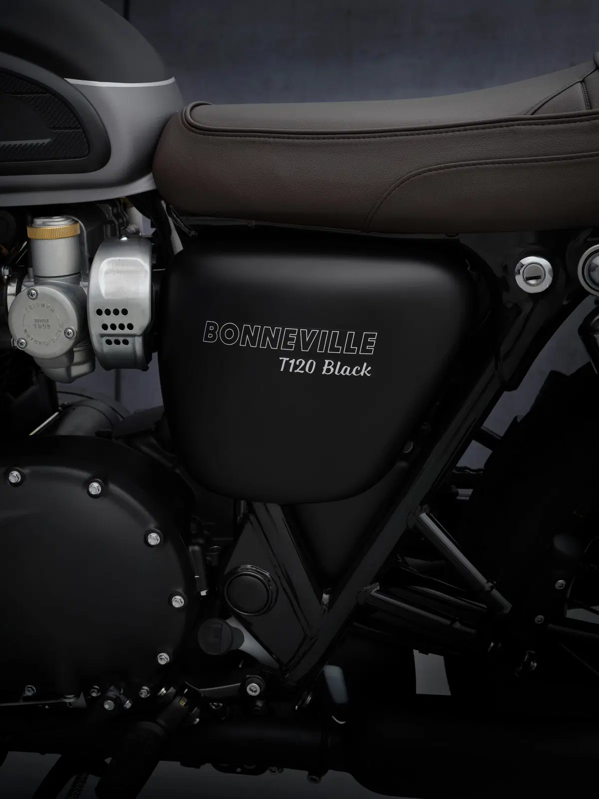 Triumph Bonneville T 120 e T 120 Black 2021 (20)