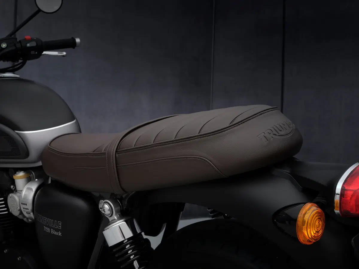 Triumph Bonneville T 120 e T 120 Black 2021 (24)