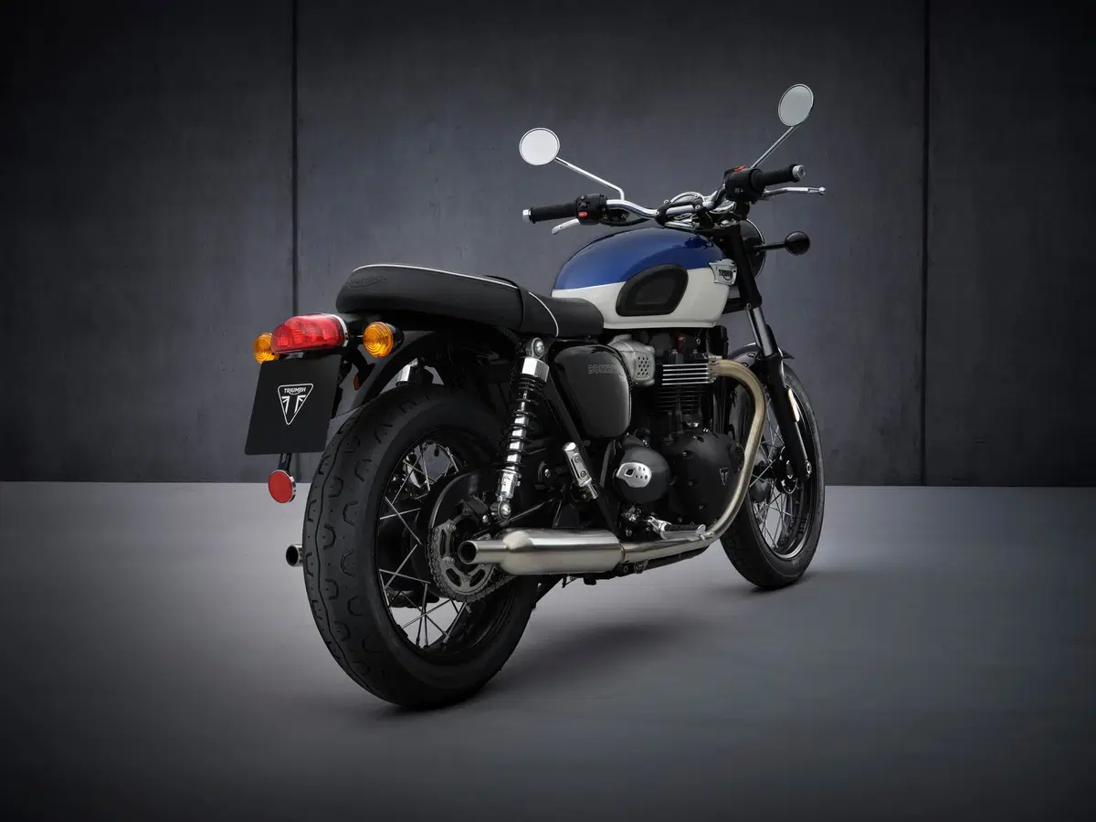  Triumph Bonneville T100 2021 (2)