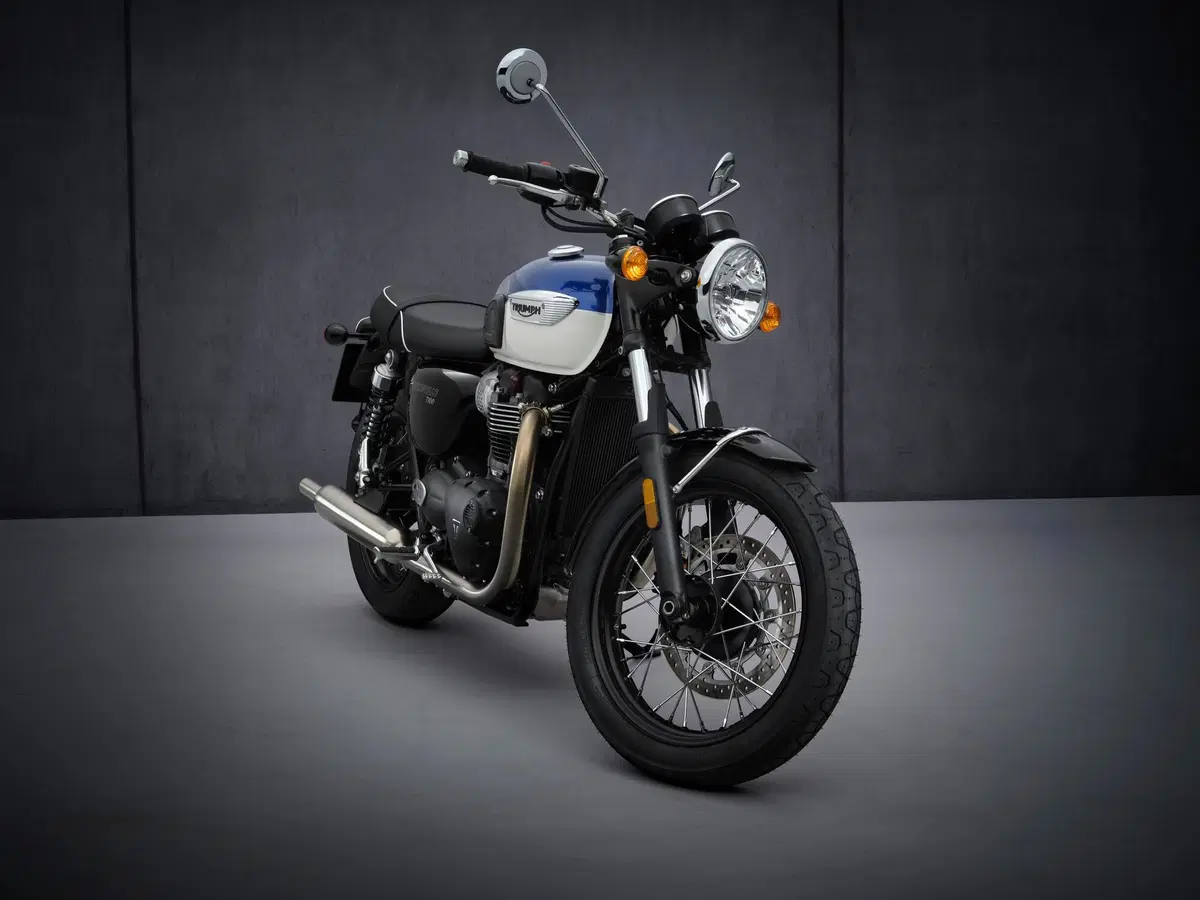  Triumph Bonneville T100 2021 (3)