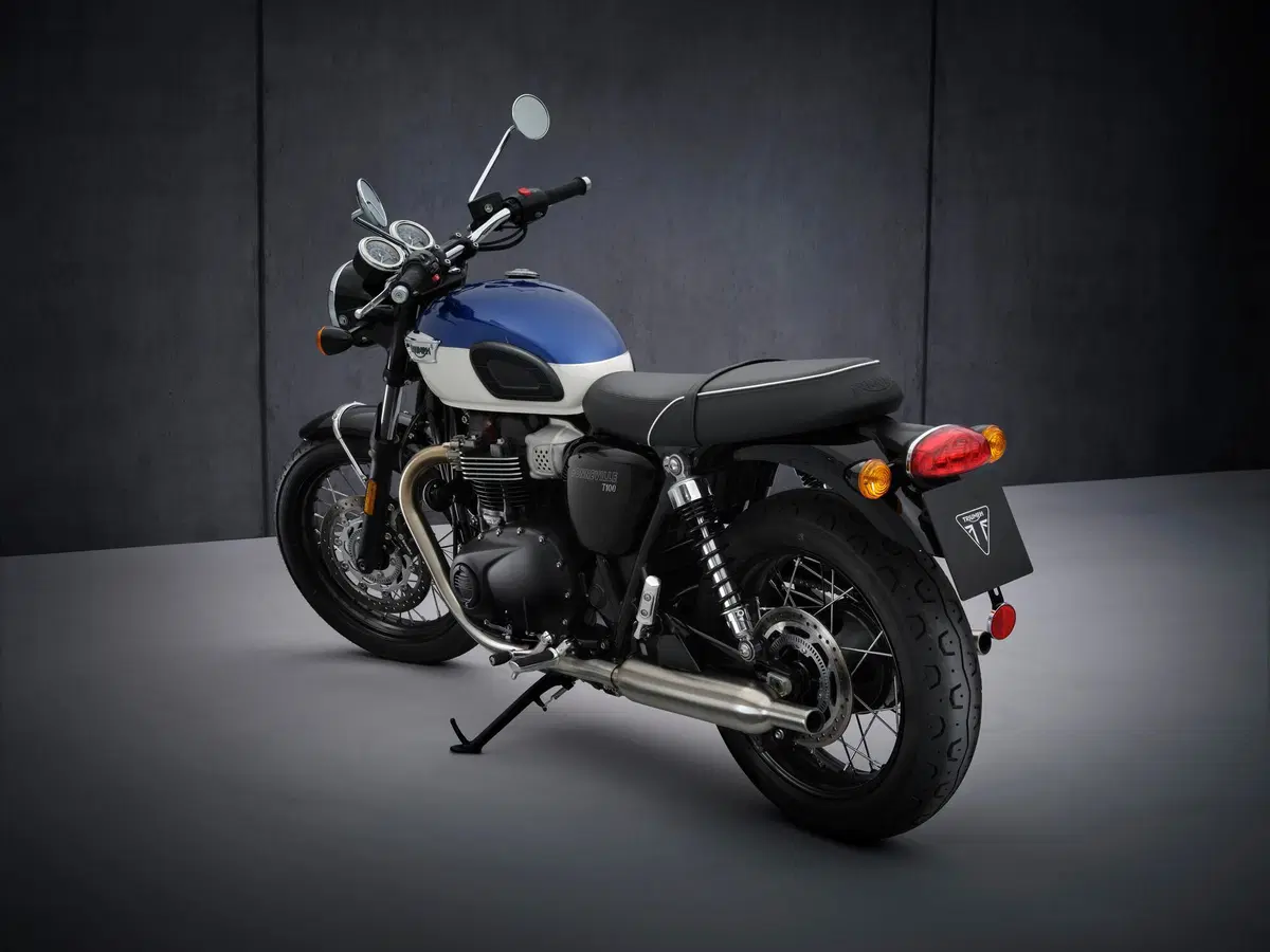  Triumph Bonneville T100 2021 (4)