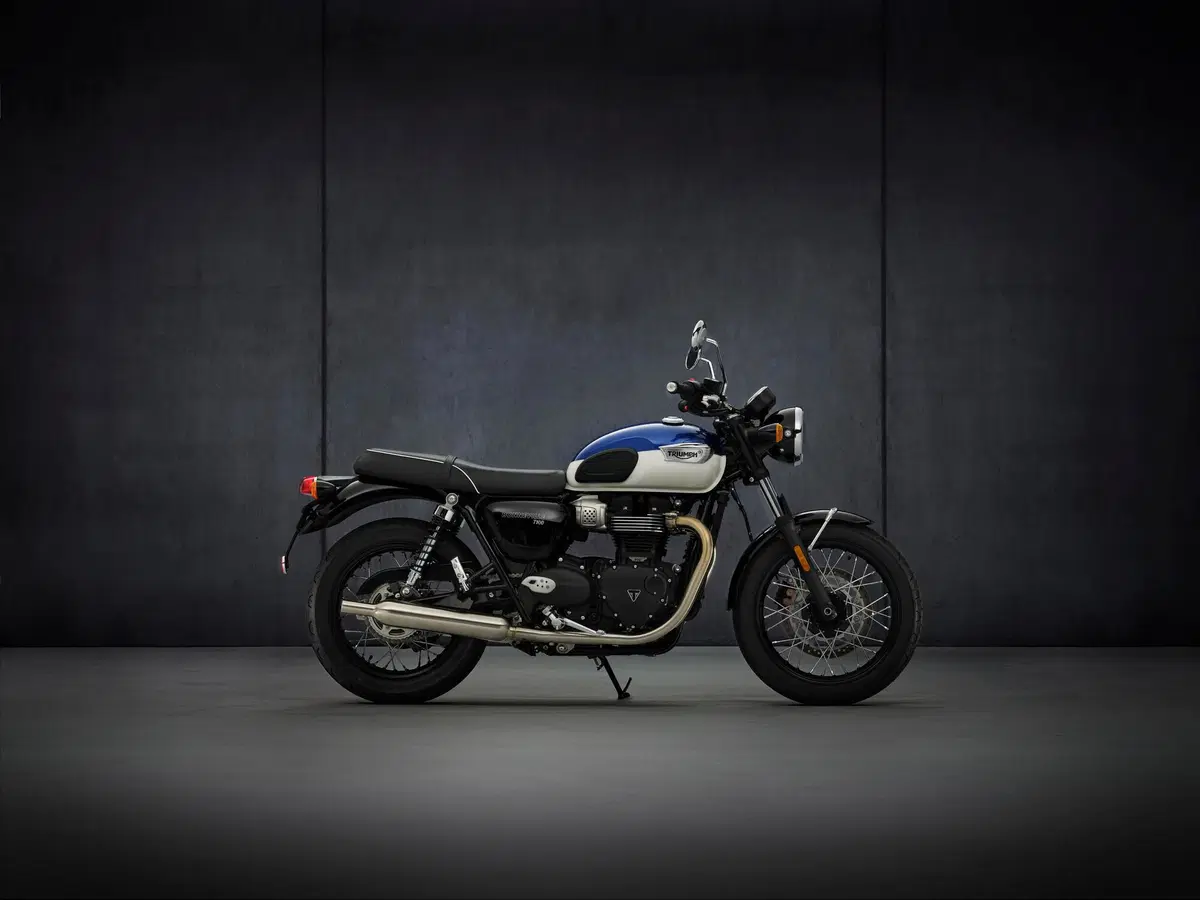  Triumph Bonneville T100 2021 (6)