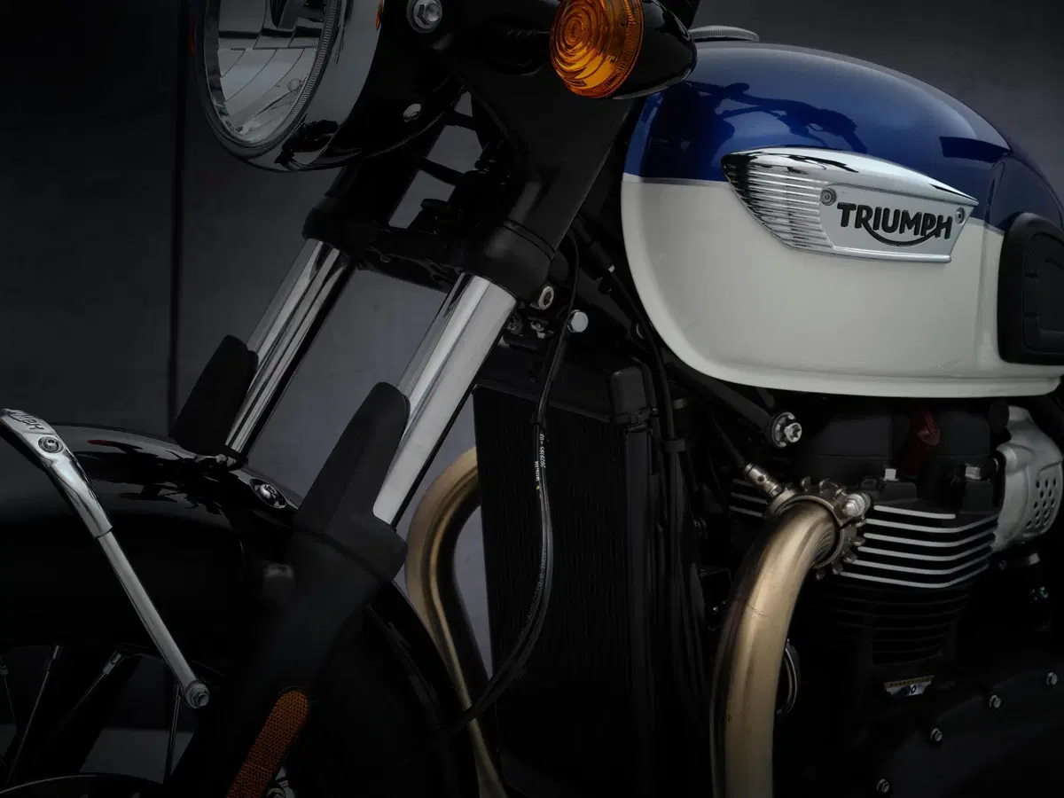  Triumph Bonneville T100 2021 (8)