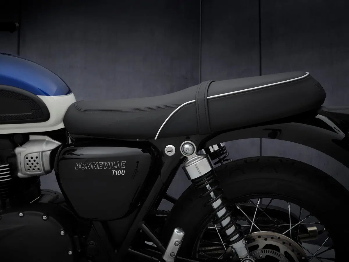  Triumph Bonneville T100 2021 (9)