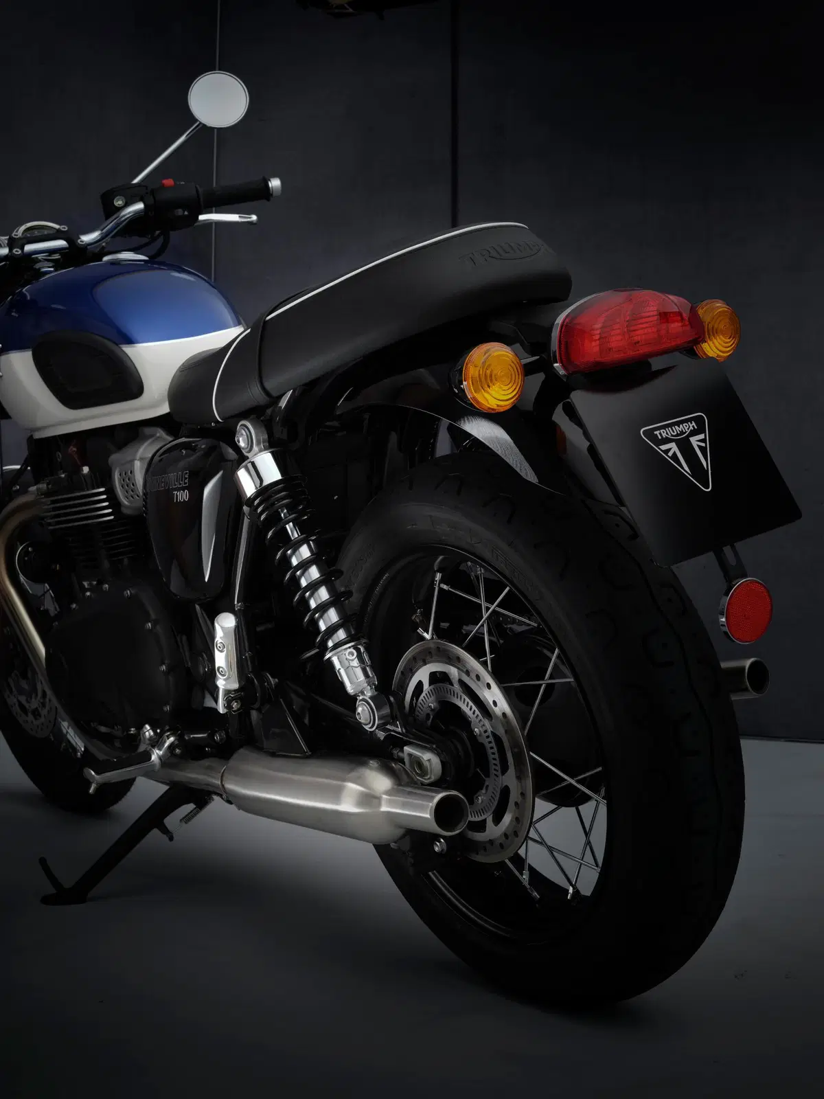  Triumph Bonneville T100 2021 (10)