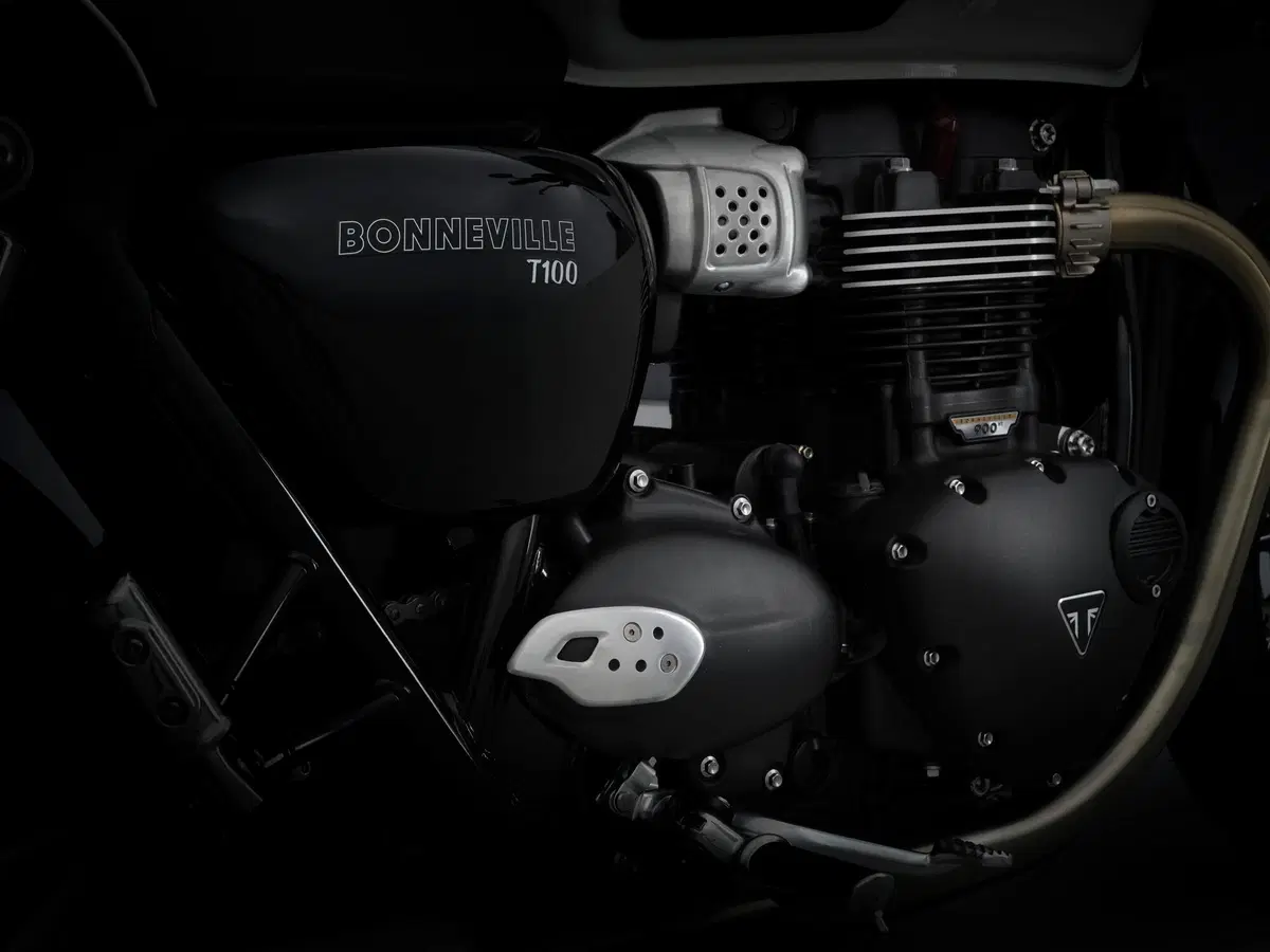  Triumph Bonneville T100 2021 (11)