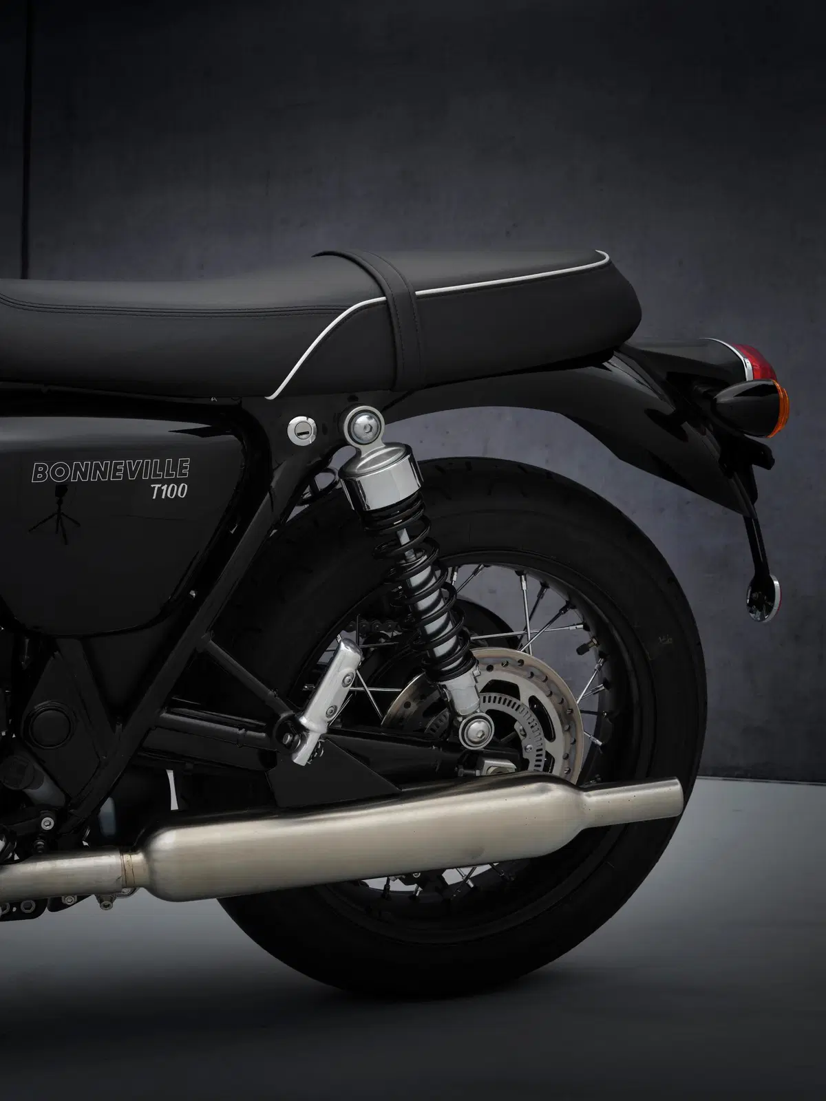  Triumph Bonneville T100 2021 (12)