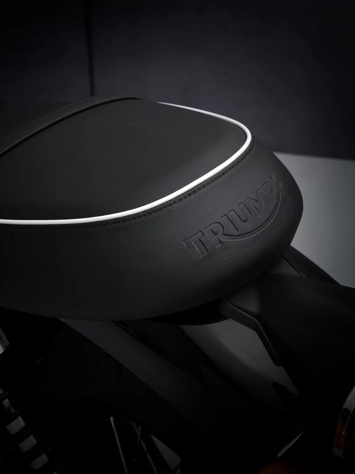  Triumph Bonneville T100 2021 (13)
