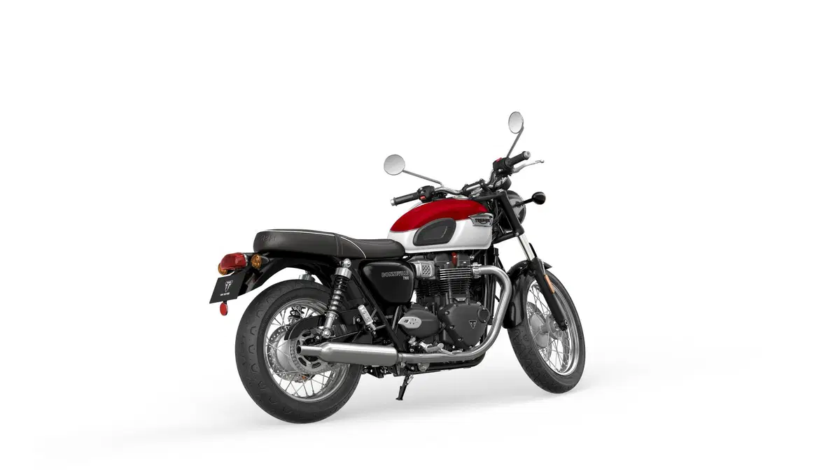  Triumph Bonneville T100 2021 (15)