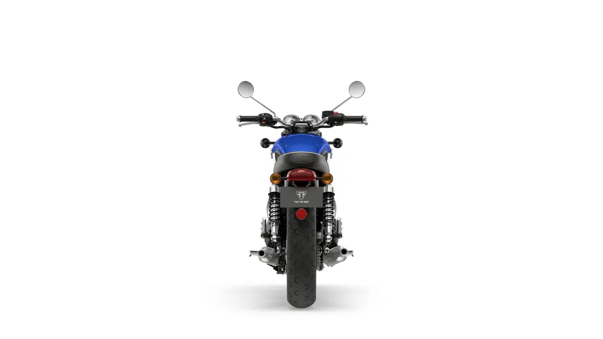  Triumph Bonneville T100 2021 (20)